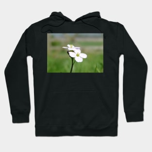 Cuckoo Flowers In The Grass Hoodie